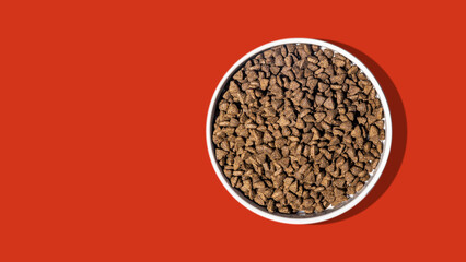 Dog Kibble Food in Bowl on Solid Background