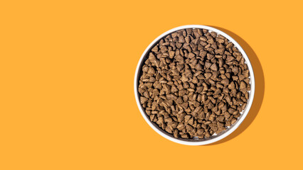 Dog Kibble Food in Bowl on Solid Background