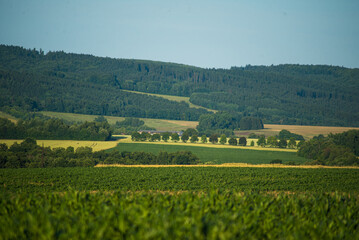Fototapeta na wymiar beautiful landscape with green hills and fields