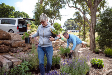 Plants for newly designed garden being delivered