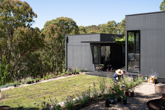 Newly landscaped lawn and garden 