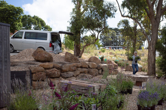 Delivery of new plants for garden redesign project