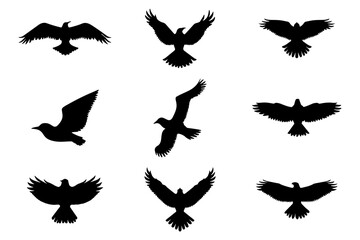 Birds flying silhouette collection. Icon symbol set. Vector illustration
