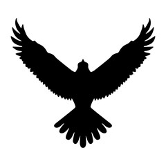 Eagle Bird flying silhouette isolated. Vector illustration