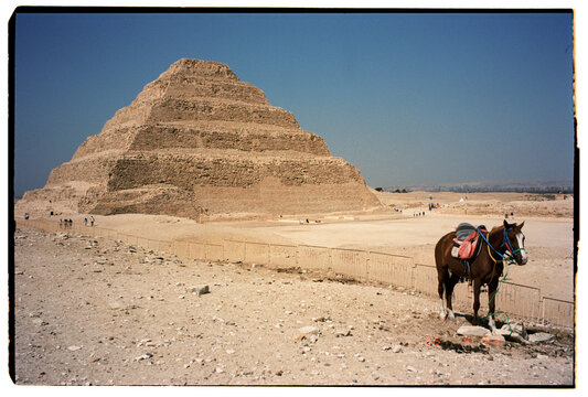 Horse in front of Saqqara Pyramid