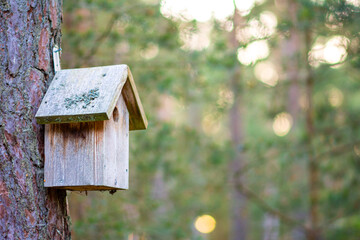 wooden birdhouse for birds on a tree in the Park close-up