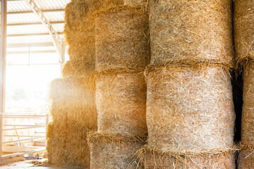 Warehouse with straw bales. Stacked Straw Hay Bales