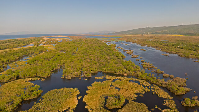 Drone image of Karacabey floodplain forest