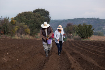 Mexican Farmer Investing in Bean Planting for a Better Tomorrow