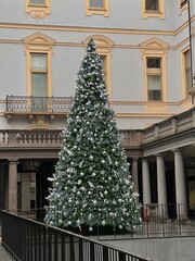 Fototapeta na wymiar christmas tree in the city