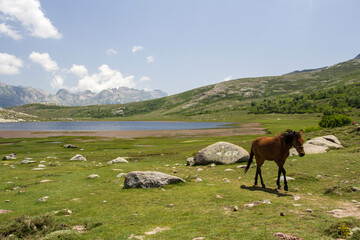 Lac de Nino