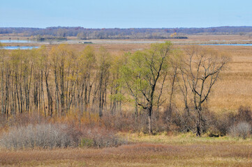 Horicon Marsh State And National Wildlife Refuge Near Horicon, Wisconsin