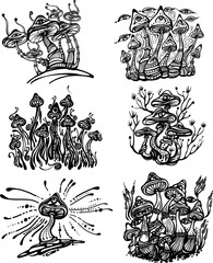 Fantasy Magic Mushrooms Strange Fairy Tale