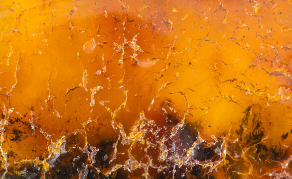 Amber Macro  