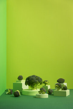 Broccoli still life arrangement. Vegetables placed on podiums on green