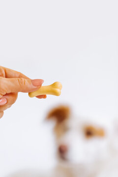 Woman Giving Treat to Her Dog