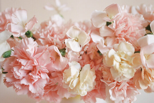 carnation bouquet