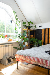 Loft style bedroom interior, black wall with wooden slats, metal bed, retro light bulbs garland, potted plants on a trapezoidal window in the attic. Modern Green House