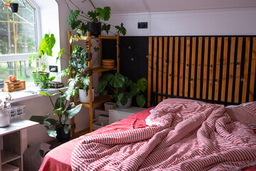 Unmade bed with red striped linen and a mess in Loft style bedroom interior, black wall with wooden...