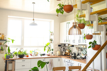 The interior of a white kitchen with a metal staircase in a cottage with potted plants in hanging planters. Green house in a modern style