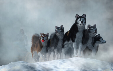 A team of huskie sled dog in the snow. One of them, a brown Greenland dog, is ready to play with a red ball. Behind them, the driver is mostly obscured by the mists of of the Yukon. 3D Rendering
