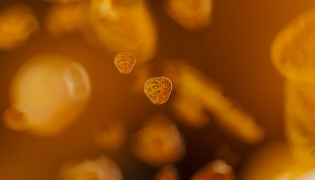 Exploring the Nano-Molecular Health of Cells