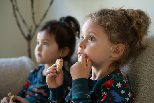 portrait of a girl with cookies in her hand