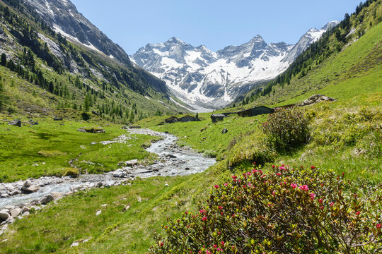 Herrliche Naturlandschaft in Österreich mit Gebirgsbach, Almhütten und Alpenrosen im Naturpark