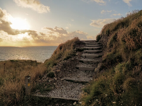 Late evening light near Hartland Quay, steps along the Coastal Path. Devon Uk.
