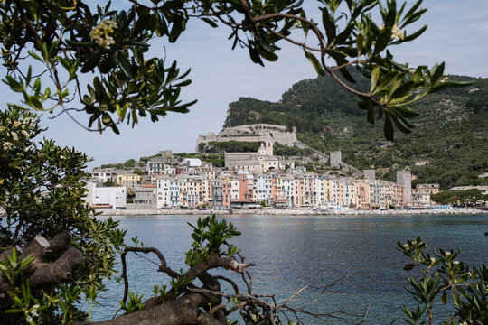 View of Porto Venere between the branches of a tree