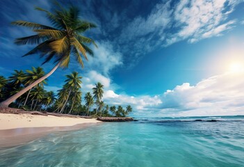 Beautiful beach with palm tree on a tropical island