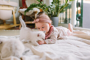 Baby plays with kittens