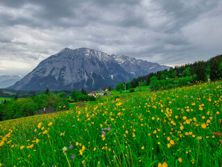 Summer austrian landscape with Grimming mountain (2.351 m), an isolated peak in the Dachstein...