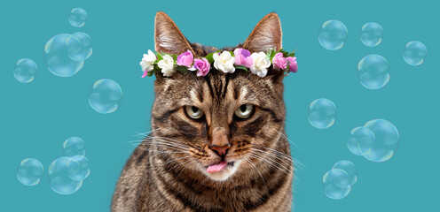 Tabby cat with a pink tongue and a serious look in a wreath of flowers