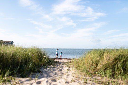 father and son exploring beach