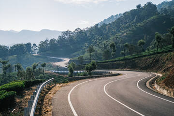 A road through tea plantations.