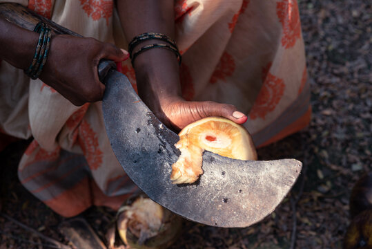 Ice-Apple - summer fruit