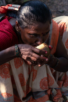 Ice-Apple - summer fruit