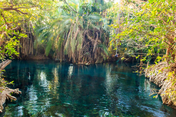 Chemka hot springs (Kikuletwa) near Moshi,  Tanzania