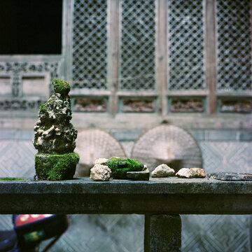 A bonsai placed on a stone platform
