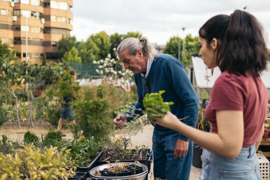 Young woman learning cultivation techniques in an urban garden