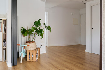 Before and after the hall of an apartment