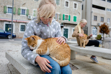 Children and stray cats in the town