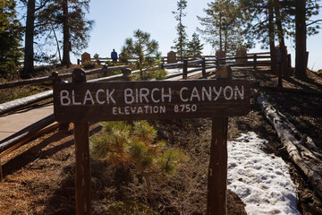 Black Birch Canyon sign in Bryce Canyon National Park in Utah during spring.
