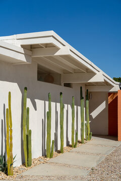 Entrance to home with large cacti