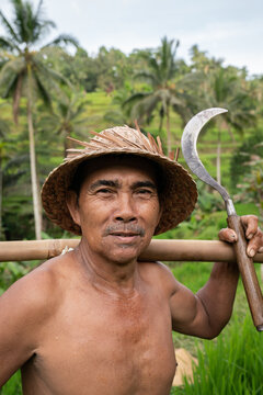 Portrait Of Rice Field Worker