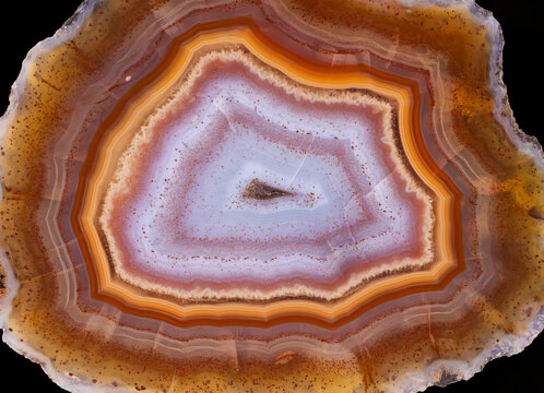 Malawian Agate On Black Background  
