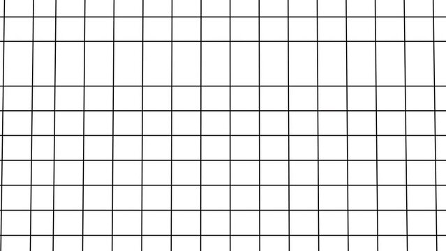 Black grid on white. Computer generated 3d render
