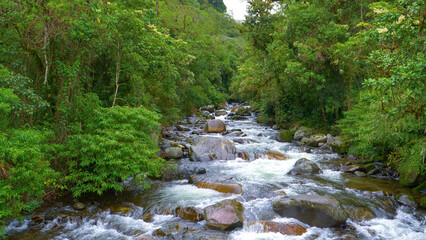 Fototapeta premium Vibrant green jungle trees surrounding pristine and free flowing Caldera River
