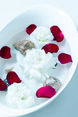 dish with flowers and seashells in the spa